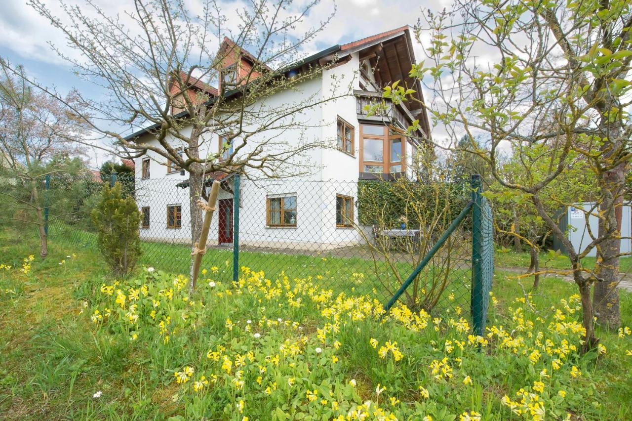 Walsdorf  Iris-Ferien Mit Hund 아파트 외부 사진